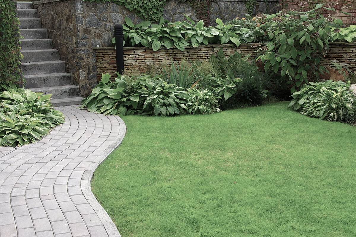 Welcome to Royal Oak Landscaping